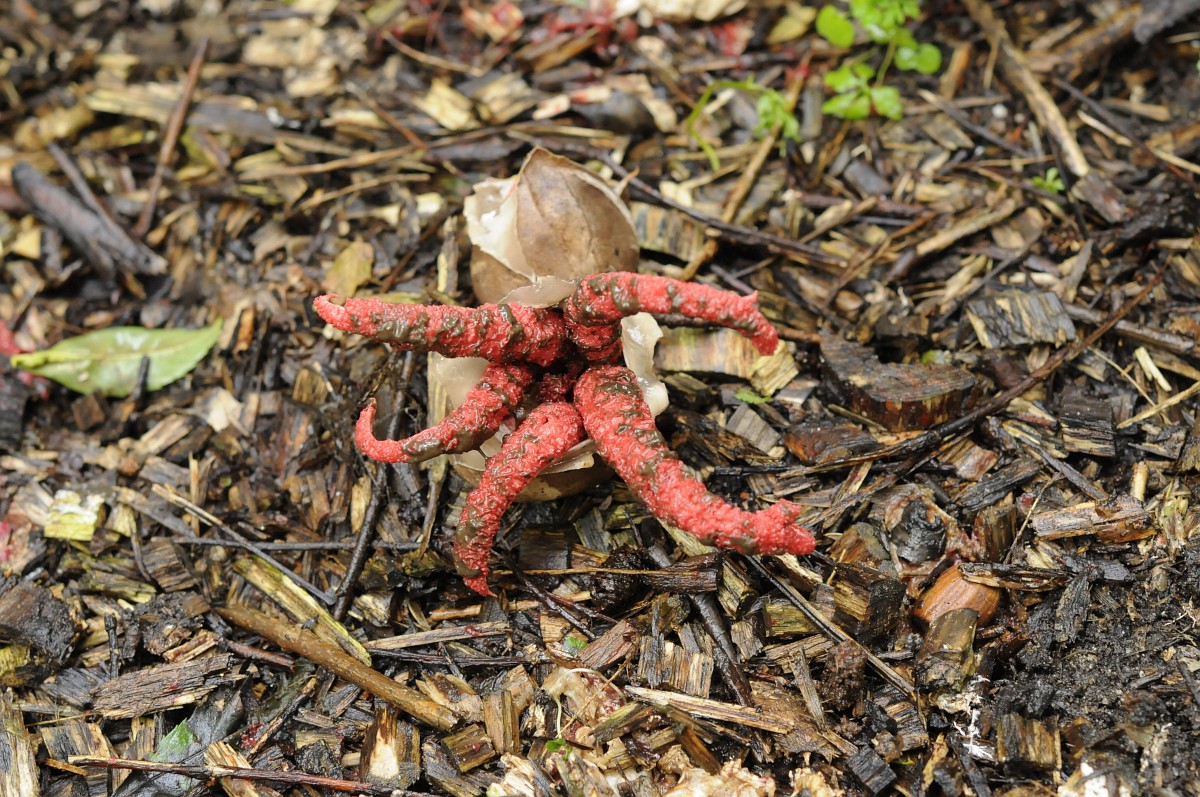 Yirtqich porno hd formatda Vixens ishtirokidagi pornografik filmlarni onlayn tomosha qiling